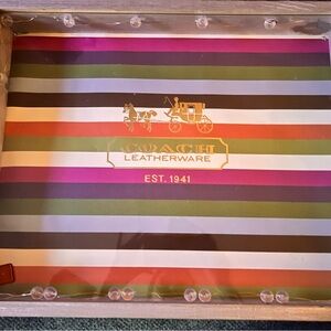 Handmade LED Globe lighted Picture Frame using a Coach Leatherware Striped Bag